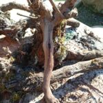 195a3550 cc26 4165 b408 db86d02ea1bc