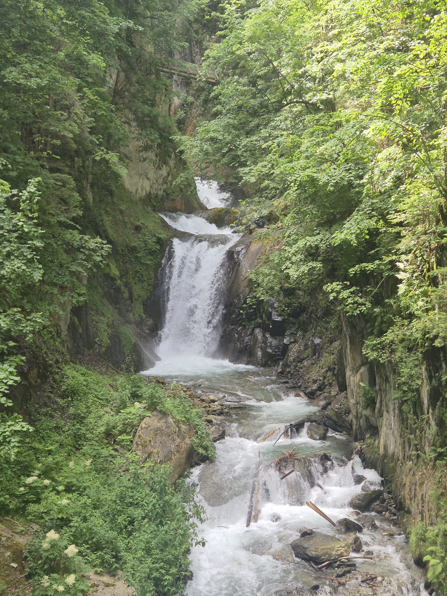 img 20250622 wa0063 (1)