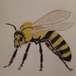 img 20240427 064432 (1)