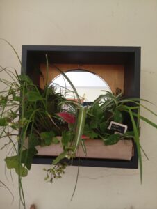 img 20250605 192316 (1)