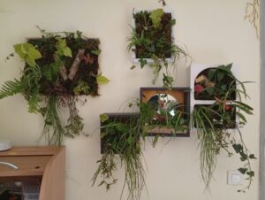 img 20250610 182100 (1)