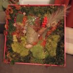 img 20251208 212348 (1) (1)