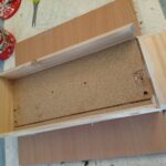 img 20260317 093133 (1)