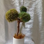 b50860e4 58ed 4f4b 8de6 c2e0e0967772